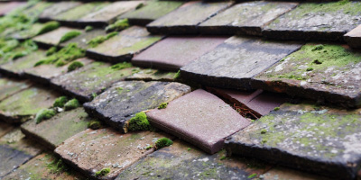 Wolvey roof repair costs